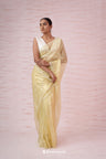 Cream Yellow Tissue Organza Saree With Hand Embroidery