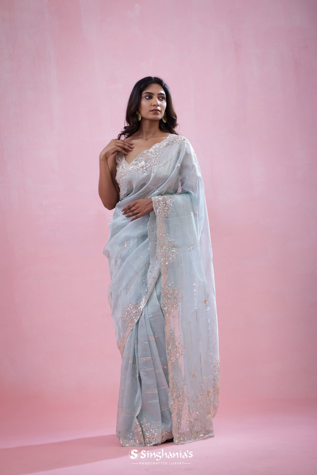 Alice Blue Tissue Organza Saree With Hand Embroidery