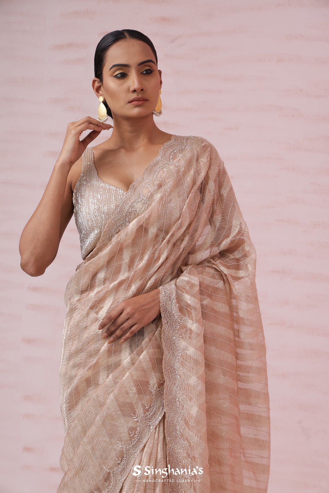 Pastel Beige Crushed Tissue Organza Saree With Hand Embroidery