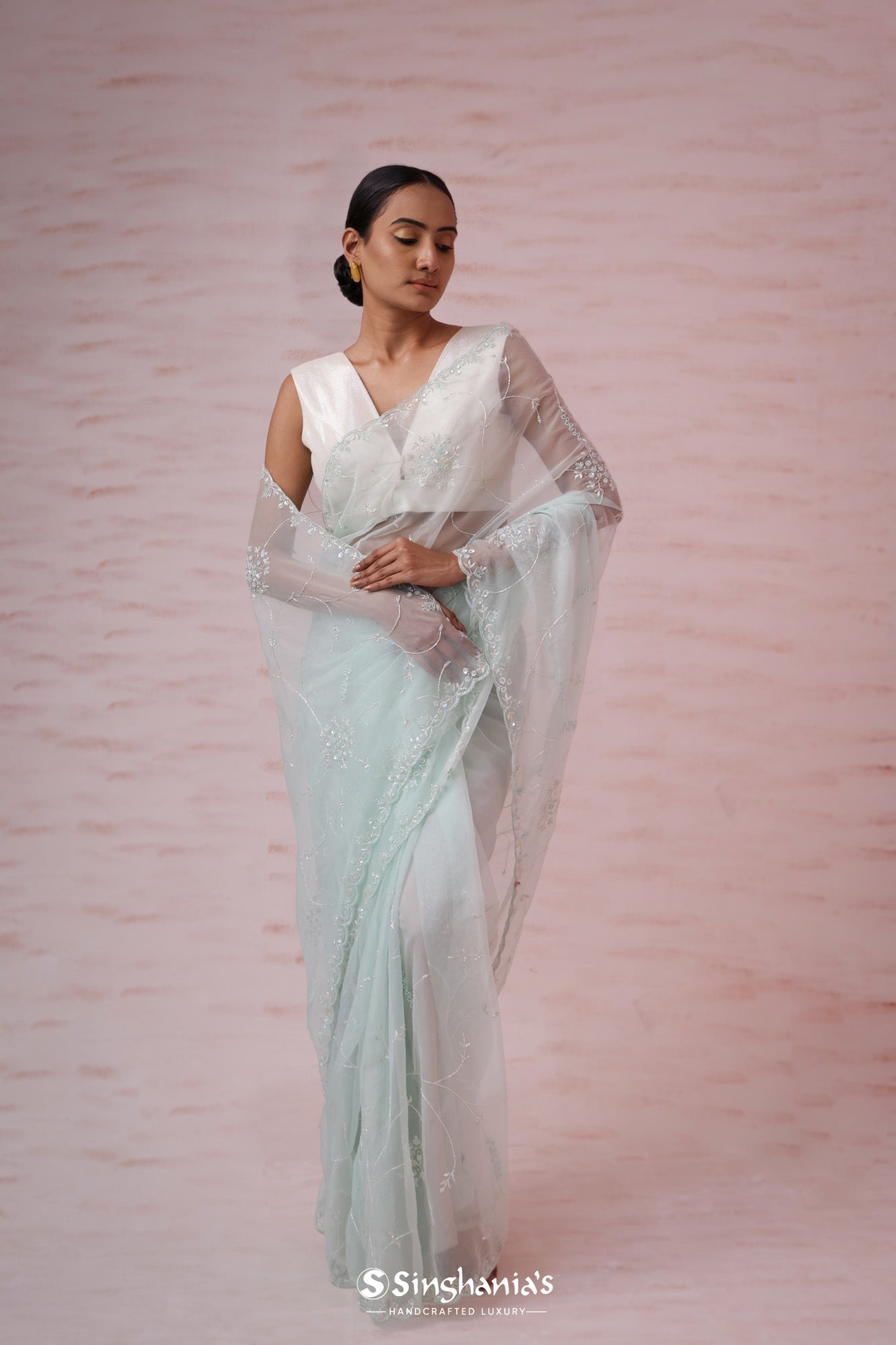 Pale Mint Green Organza Designer Saree With Hand Embroidery