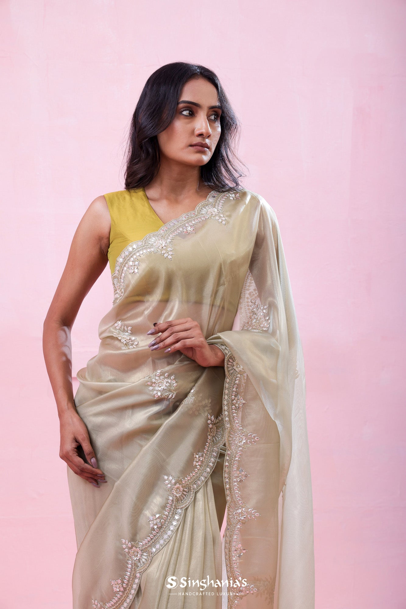 Pale Pistachio Green Tissue Organza Saree With Hand Embroidery