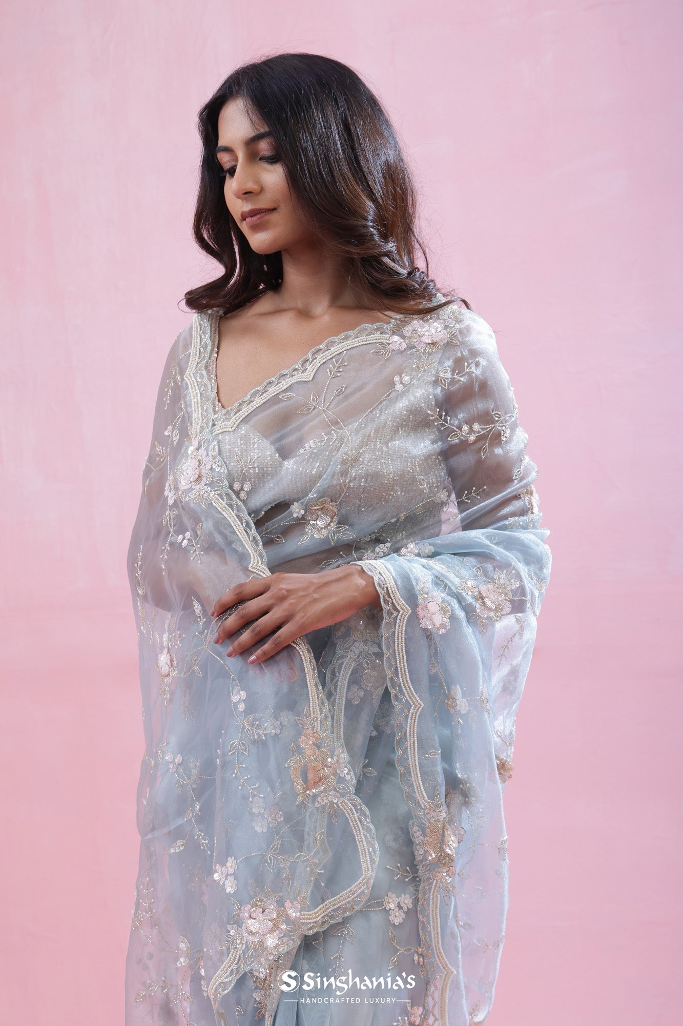 Pastel Sky Blue Tissue Organza Saree With Hand Embroidery