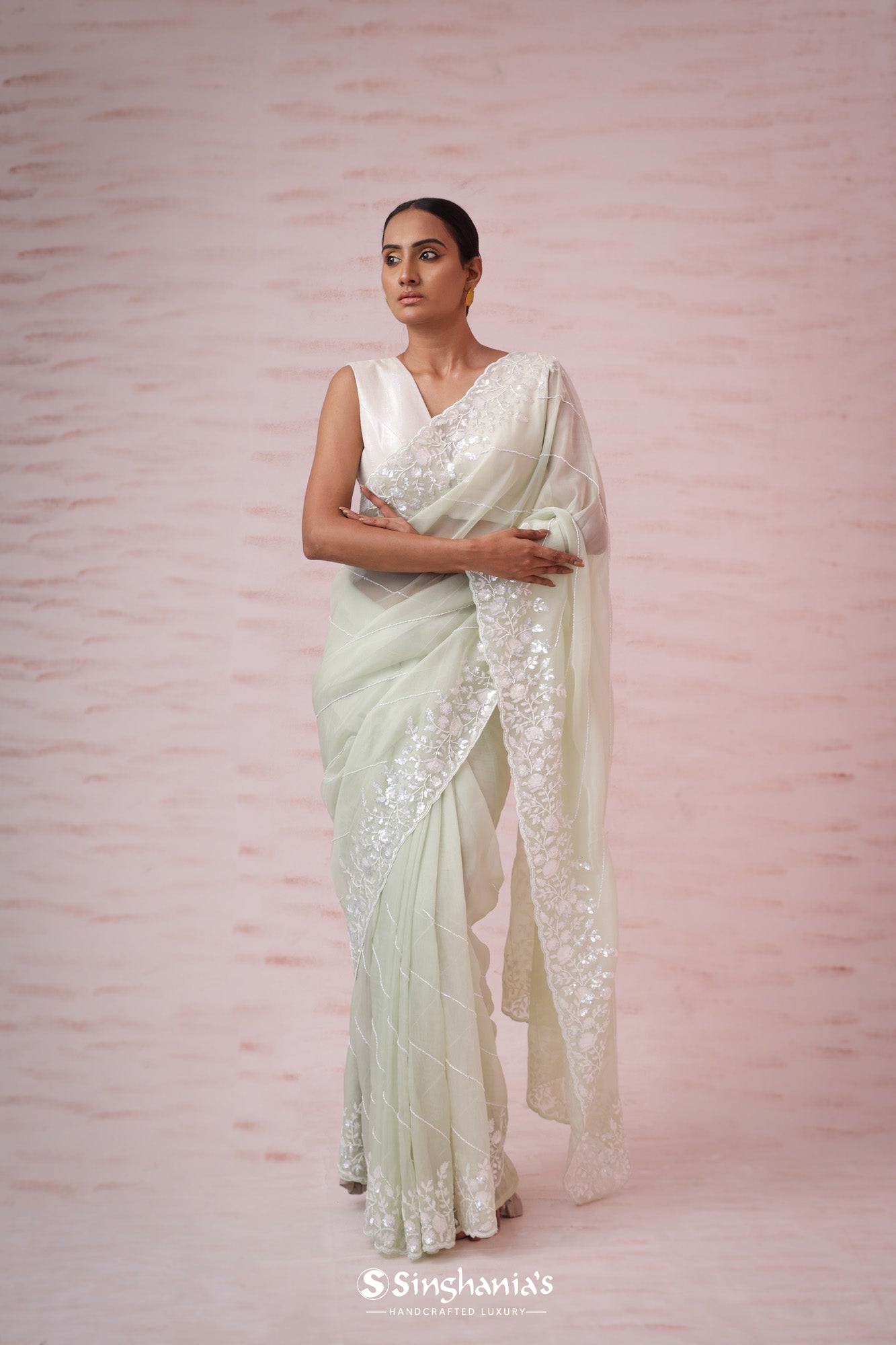Pale Pista Green Organza Saree With Hand Embroidery