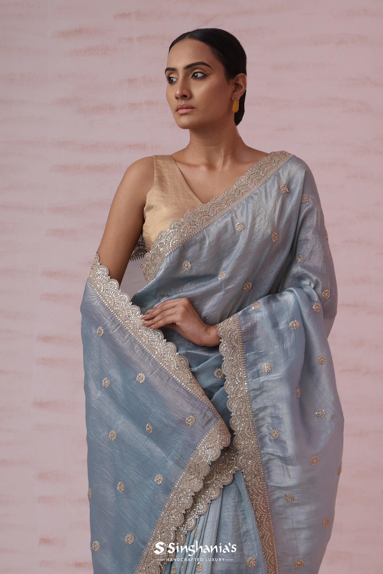 Pastel Blue Tissue Organza Saree With Butti Embroidery