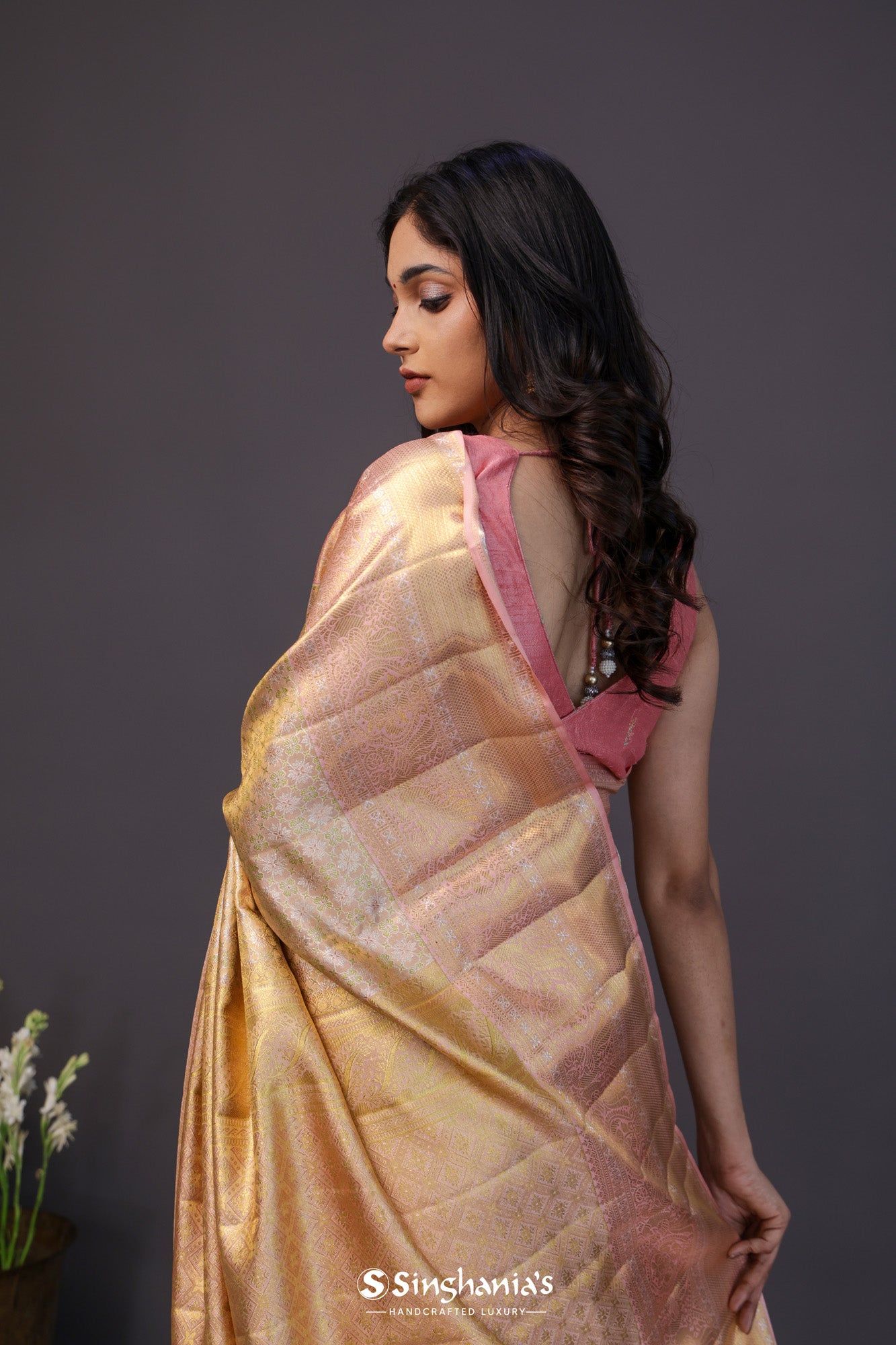 Pale Gold Tissue Kanjivaram Silk Saree With Meenakari Jaal