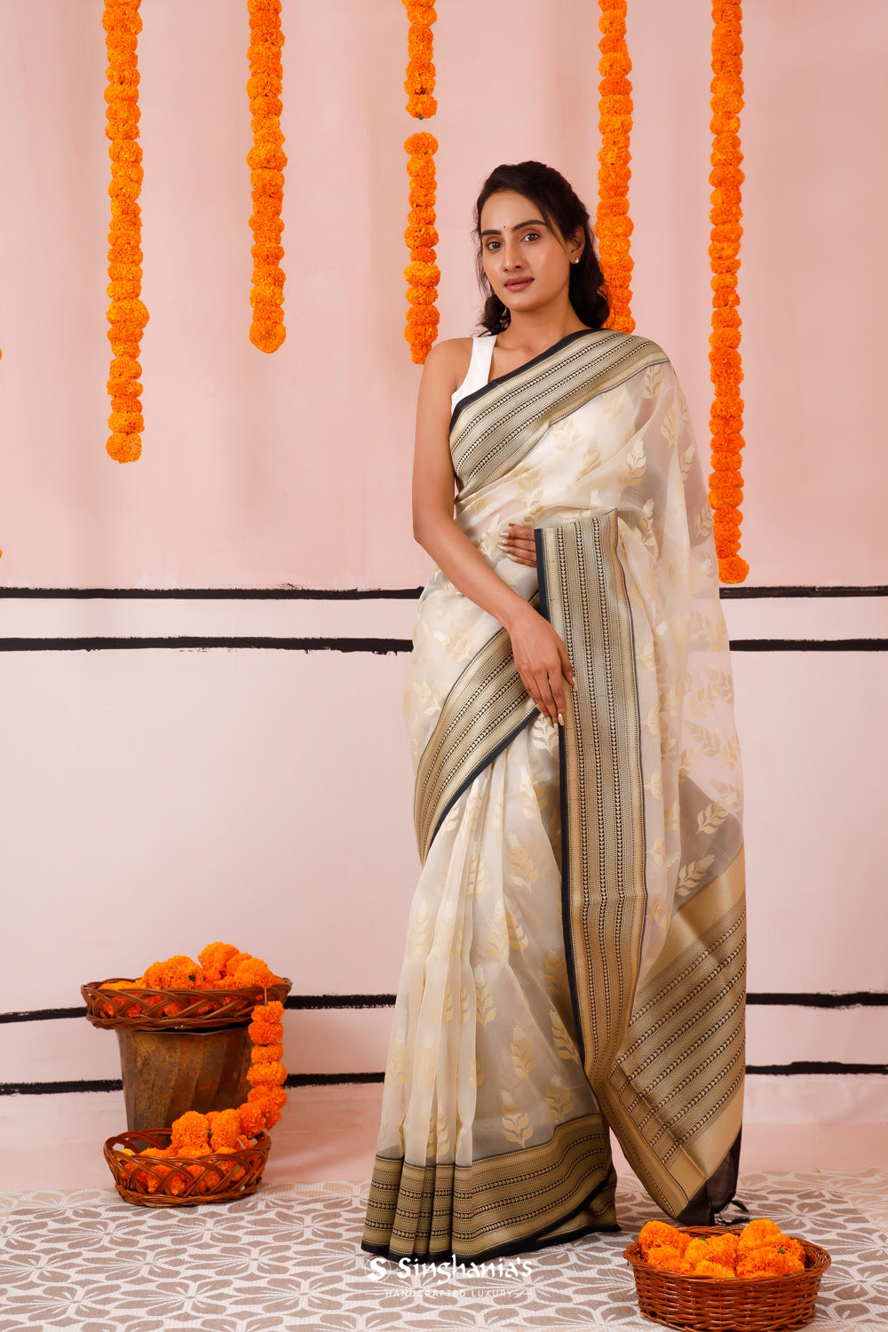 Beige Organza Banarasi Saree With Contrast Border