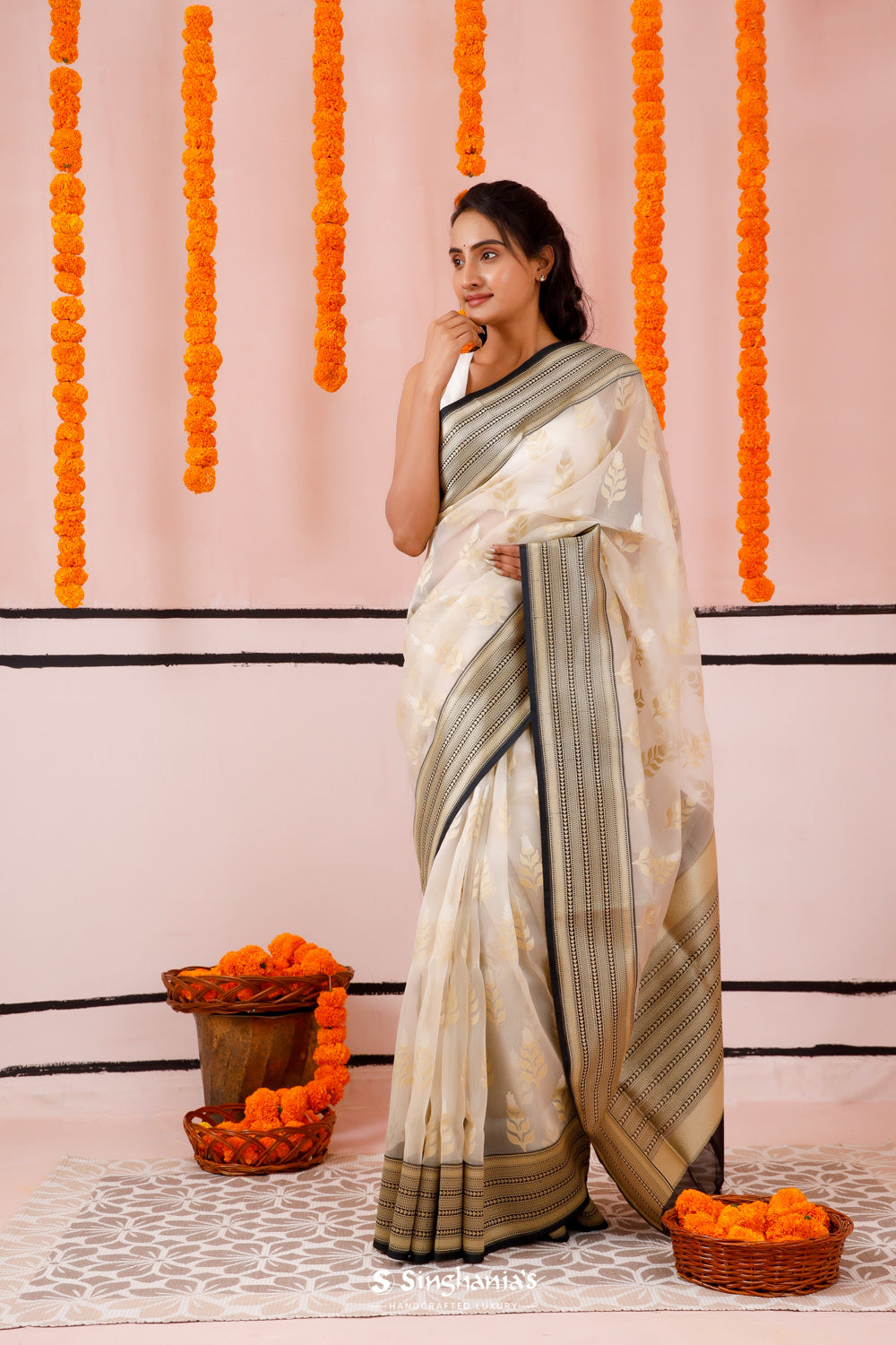 Beige Organza Banarasi Saree With Contrast Border