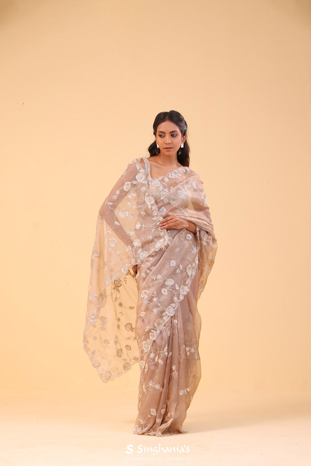 Sand Brown Organza Handcrafted Saree