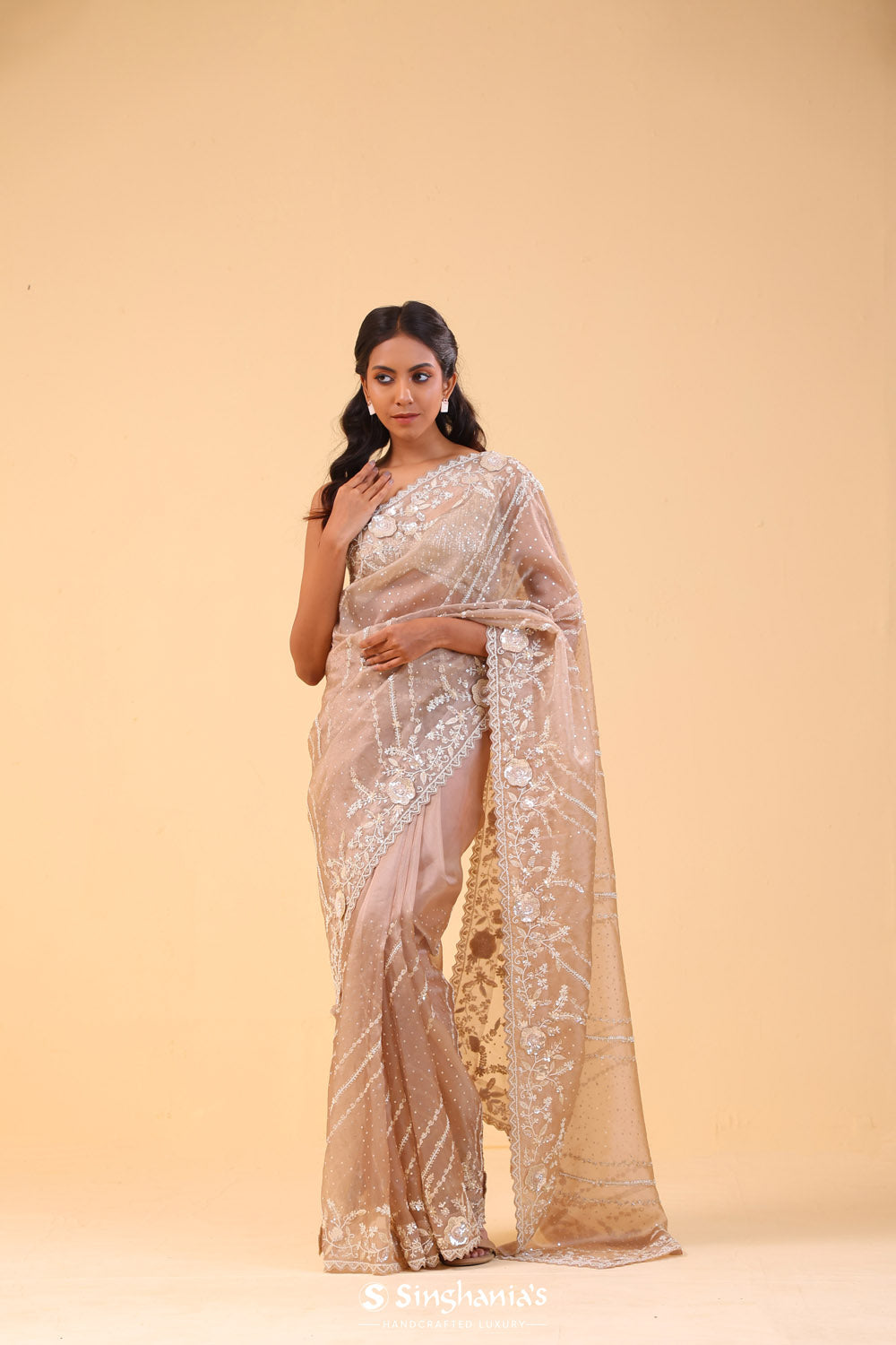 Beige Brown Tissue Handcrafted Saree