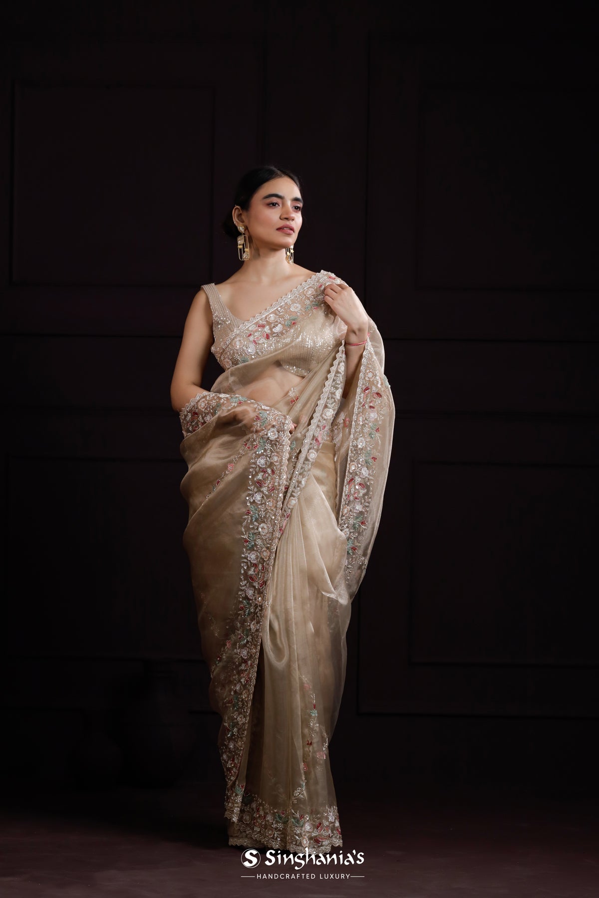 Beaver Brown Designer Organza Saree With Hand Embroidery