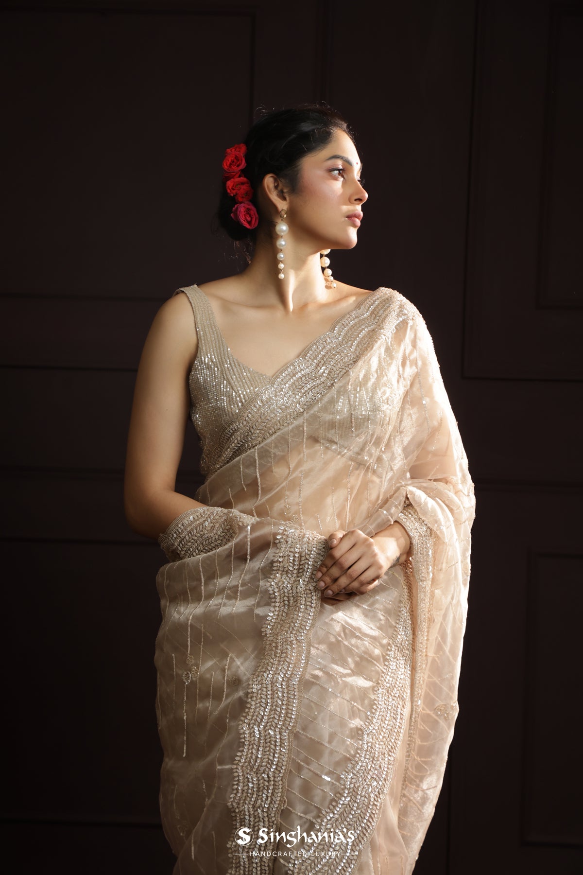 Cashmere Brown Organza Designer Saree With Hand Embroidery