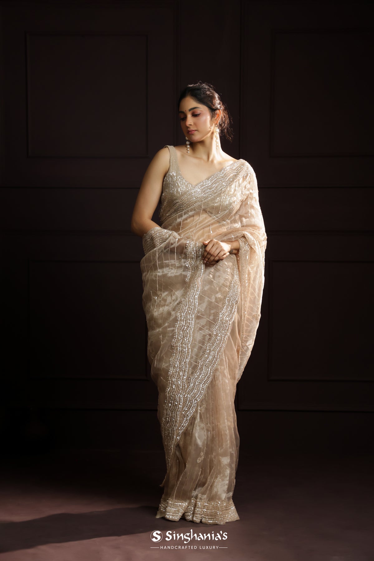 Cashmere Brown Organza Designer Saree With Hand Embroidery