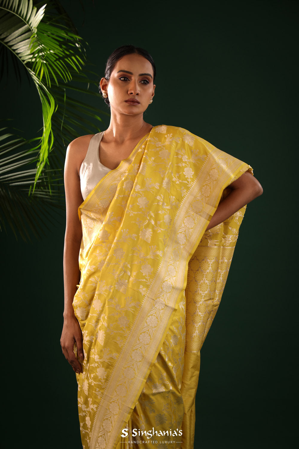 Greenish Yellow Saree With Gold Zari Floral Jaal