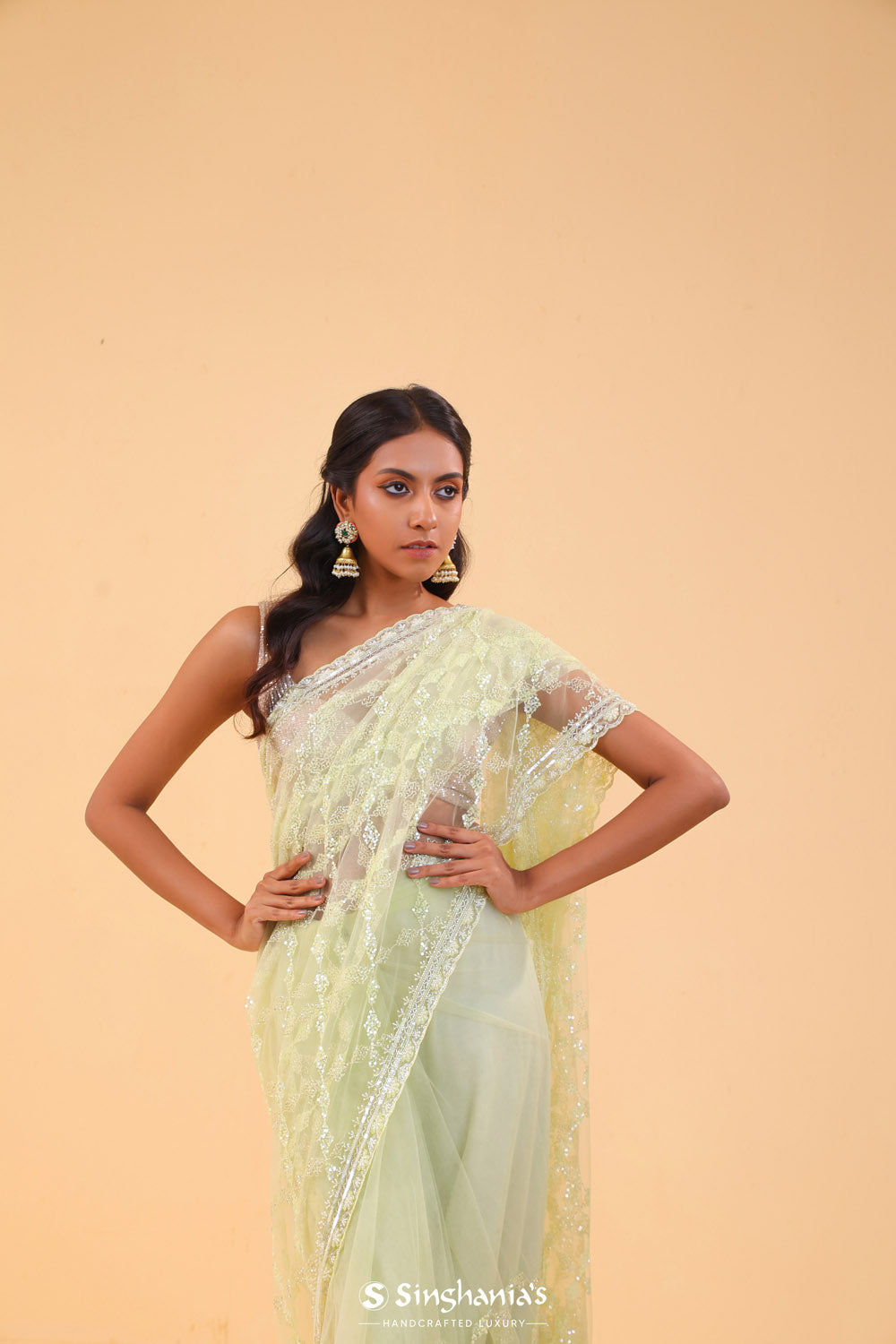 Yellow Green Net Handcrafted Saree