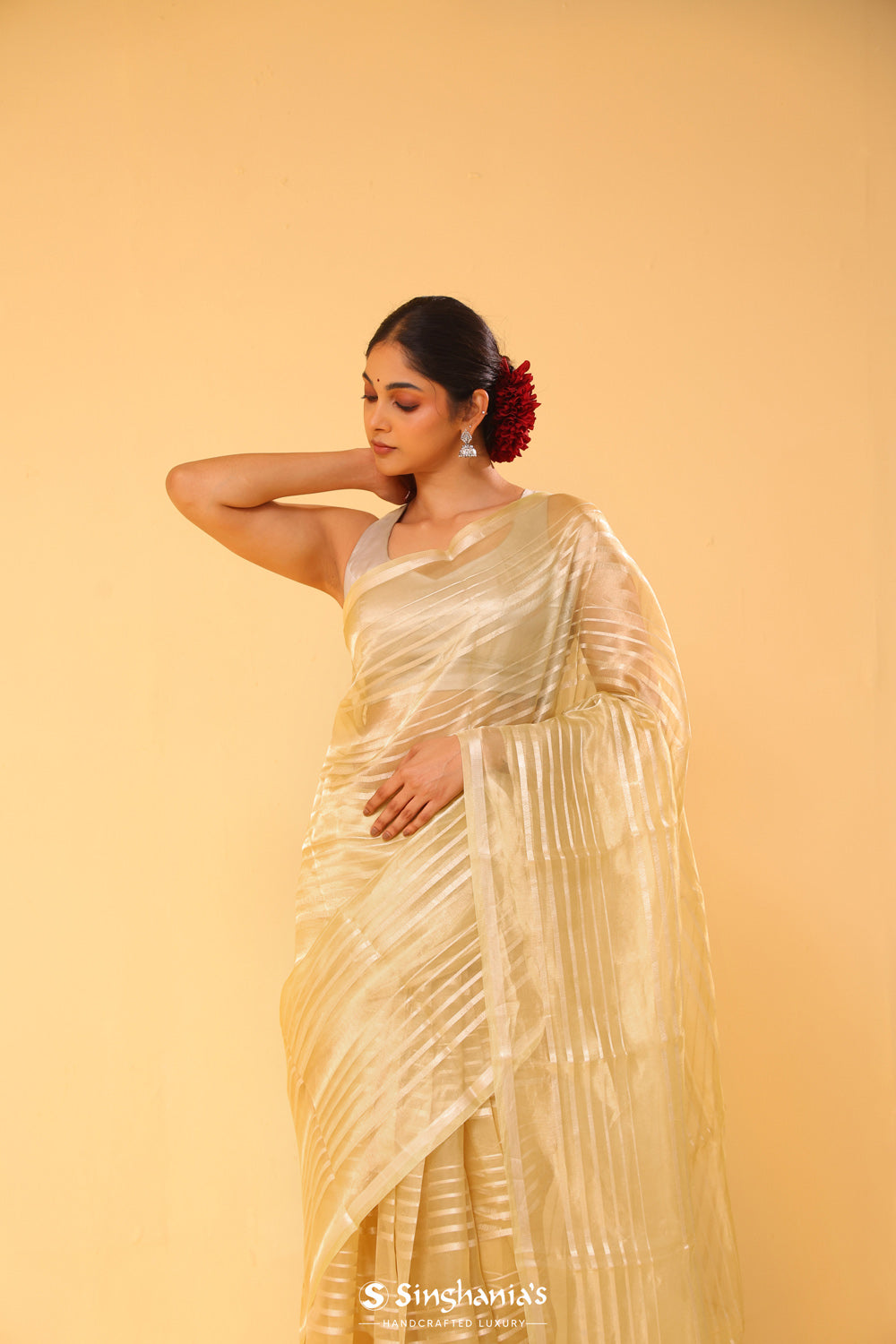 Flax Gold Tissue Banarasi Silk Saree