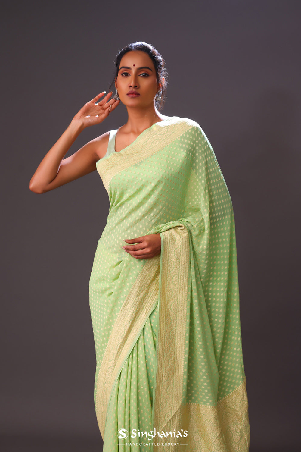 Tea Green Jaal Banarasi Silk Saree