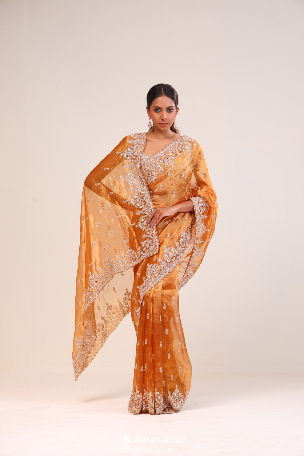 Brown Gold Tissue Handcrafted Saree