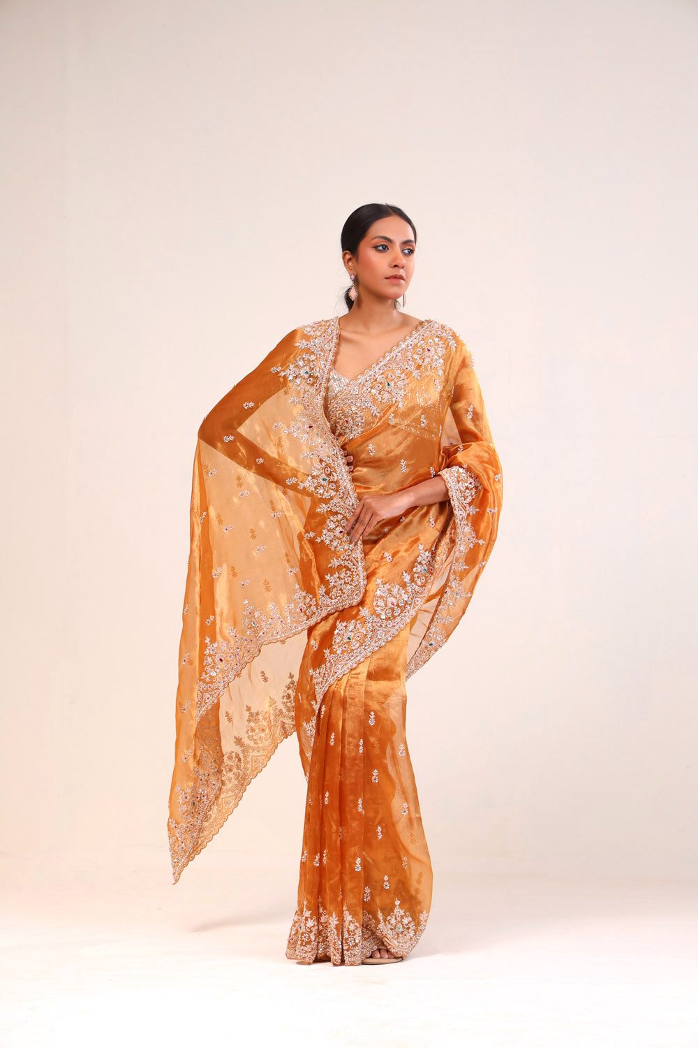 Brown Gold Tissue Handcrafted Saree