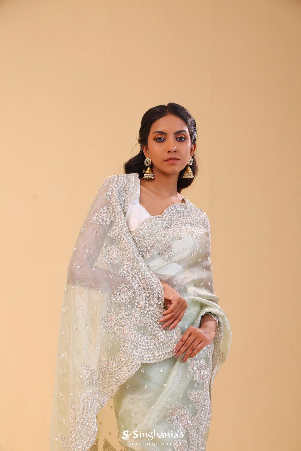 Seafoam Green Tissue Handcrafted Saree