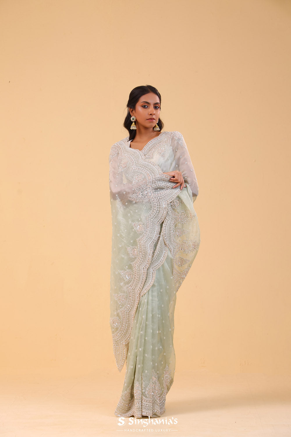 Seafoam Green Tissue Handcrafted Saree