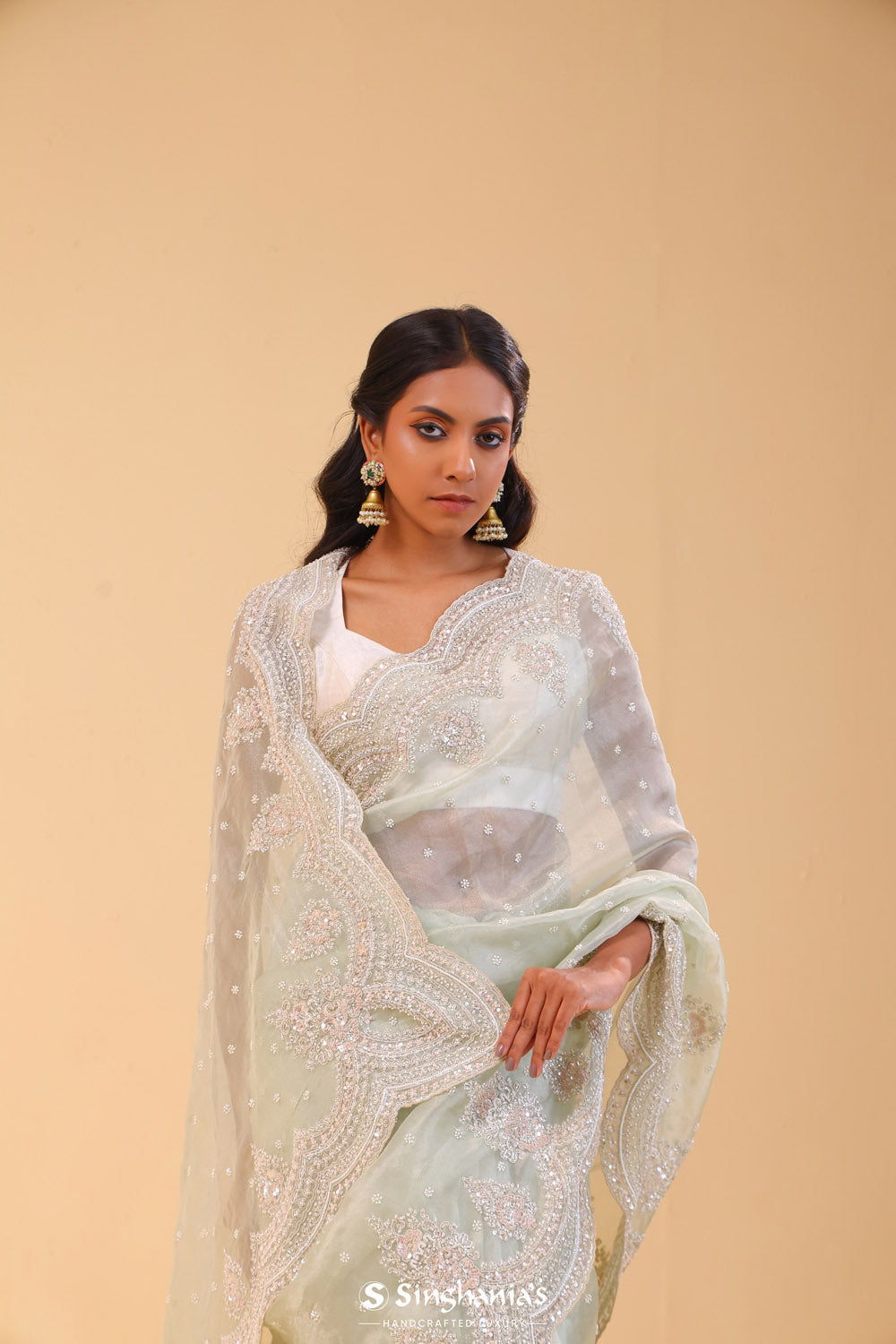 Seafoam Green Tissue Handcrafted Saree