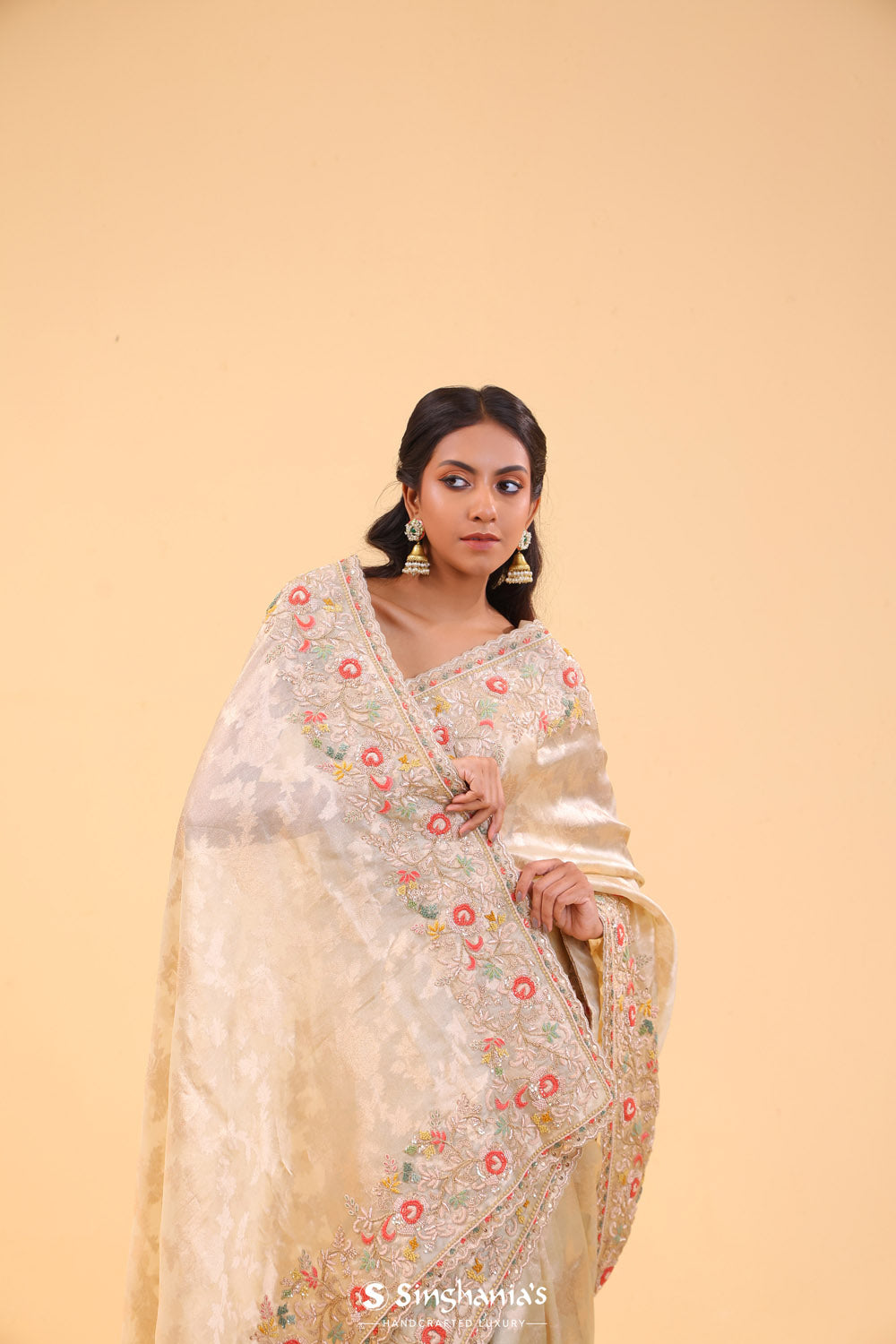 Champagne Gold Tissue Handcrafted Saree