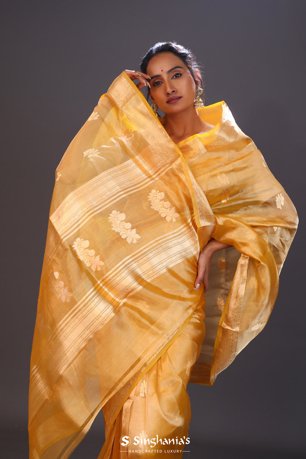 Honey Gold Tissue Chiniya Banarasi Saree