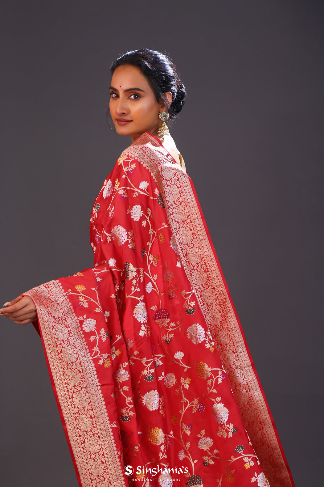 Persian Red Meenakari Banarasi Silk Saree