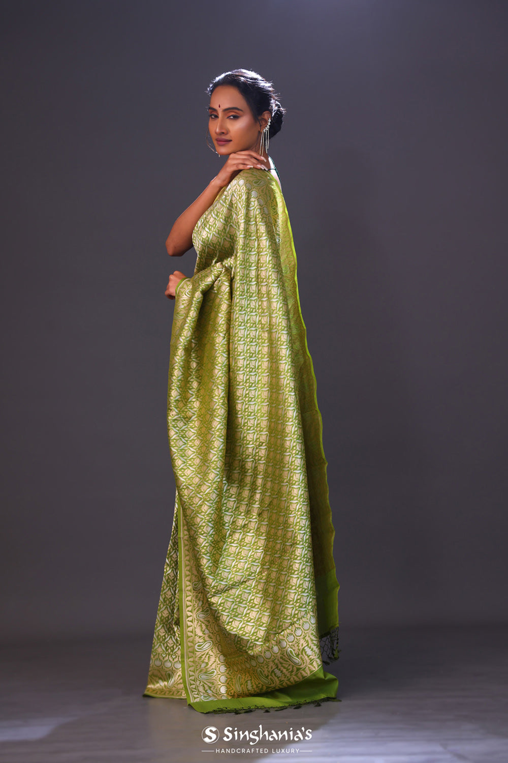 Apple Green Jaal Banarasi Silk Saree