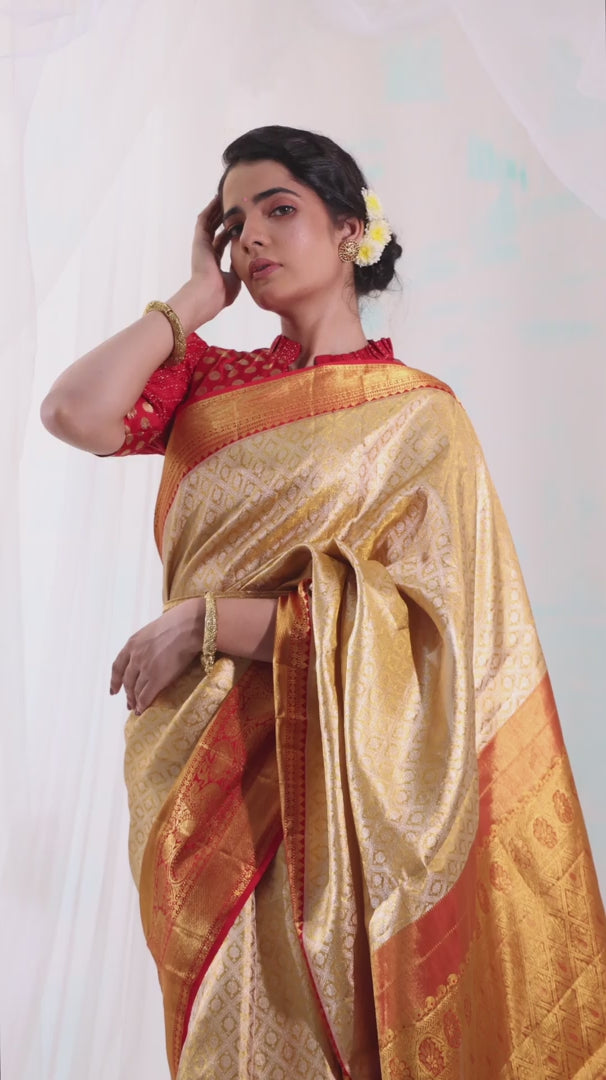 Gold Maheshwari Tissue Silk Saree with Zari Border – Roots Handloom