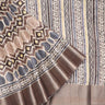 Off-White Multicolor Tussar Printed Saree With Hive Pattern - Singhania's