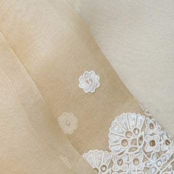 Pastel Beige Organza Saree With Floral Embroidery - Singhania's