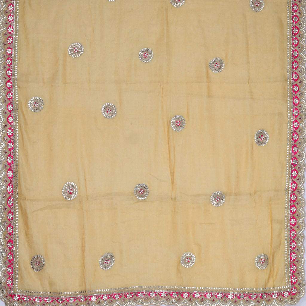 Pastel Cream Tissue Saree With Gota Patti Embroidery - Singhania's