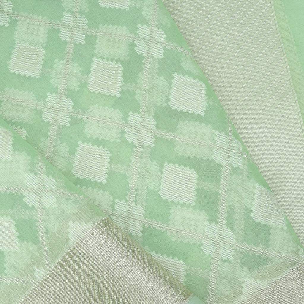 Light Pastel Green Organza Embroidery Saree - Singhania's