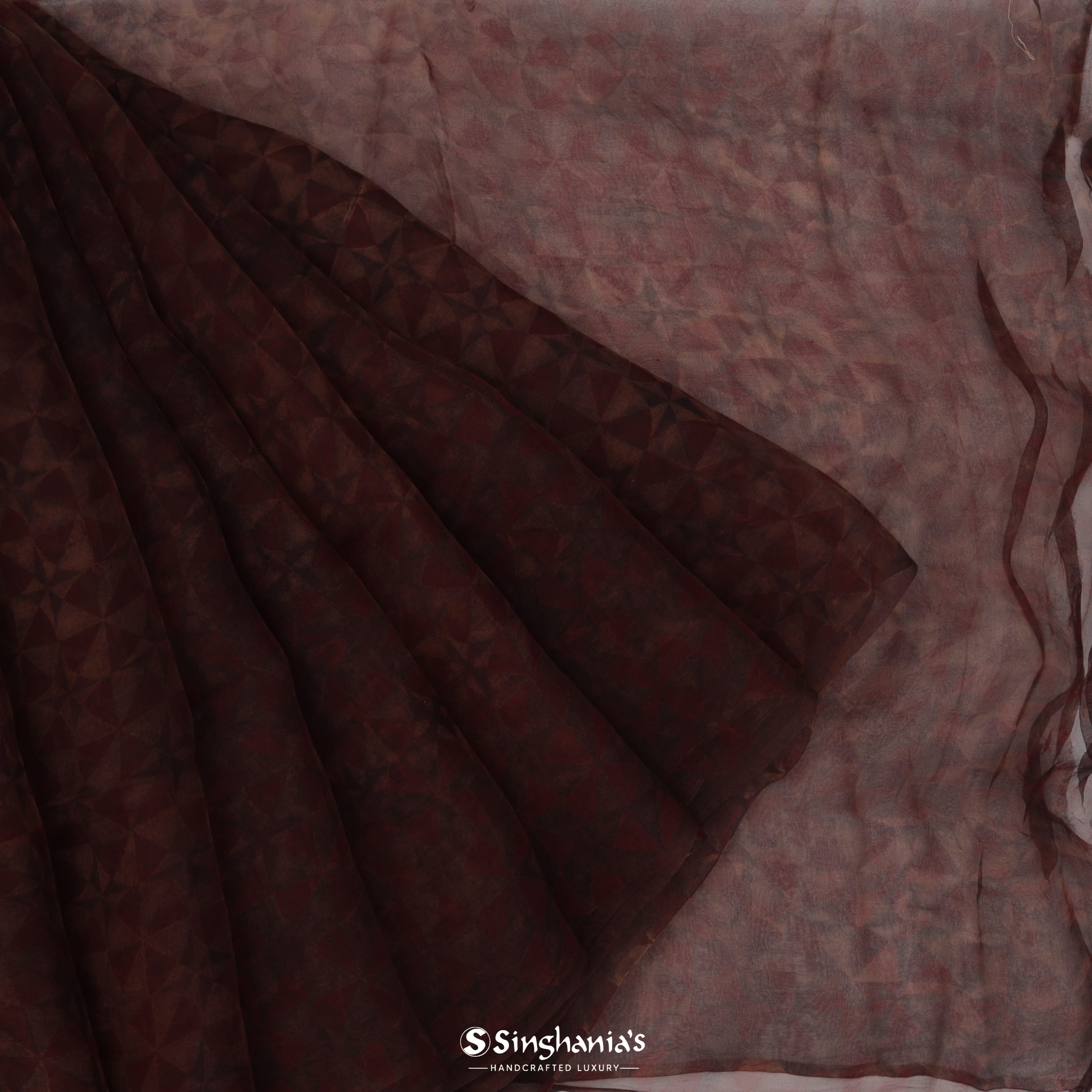 Coco Brown Organza Printed Handloom Saree With Geometrical Pattern