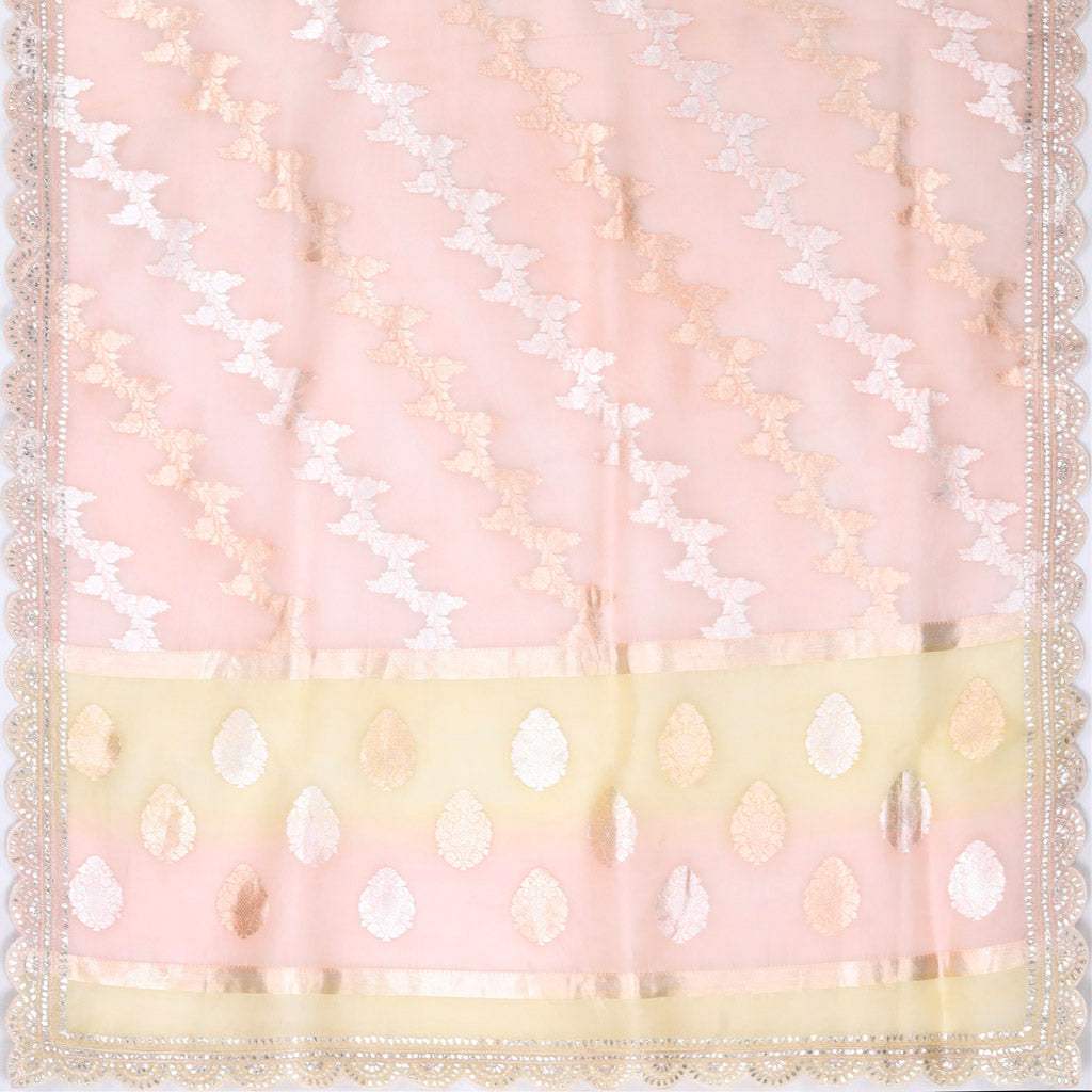 Pastel Peach Organza Saree With Embroidery - Singhania's