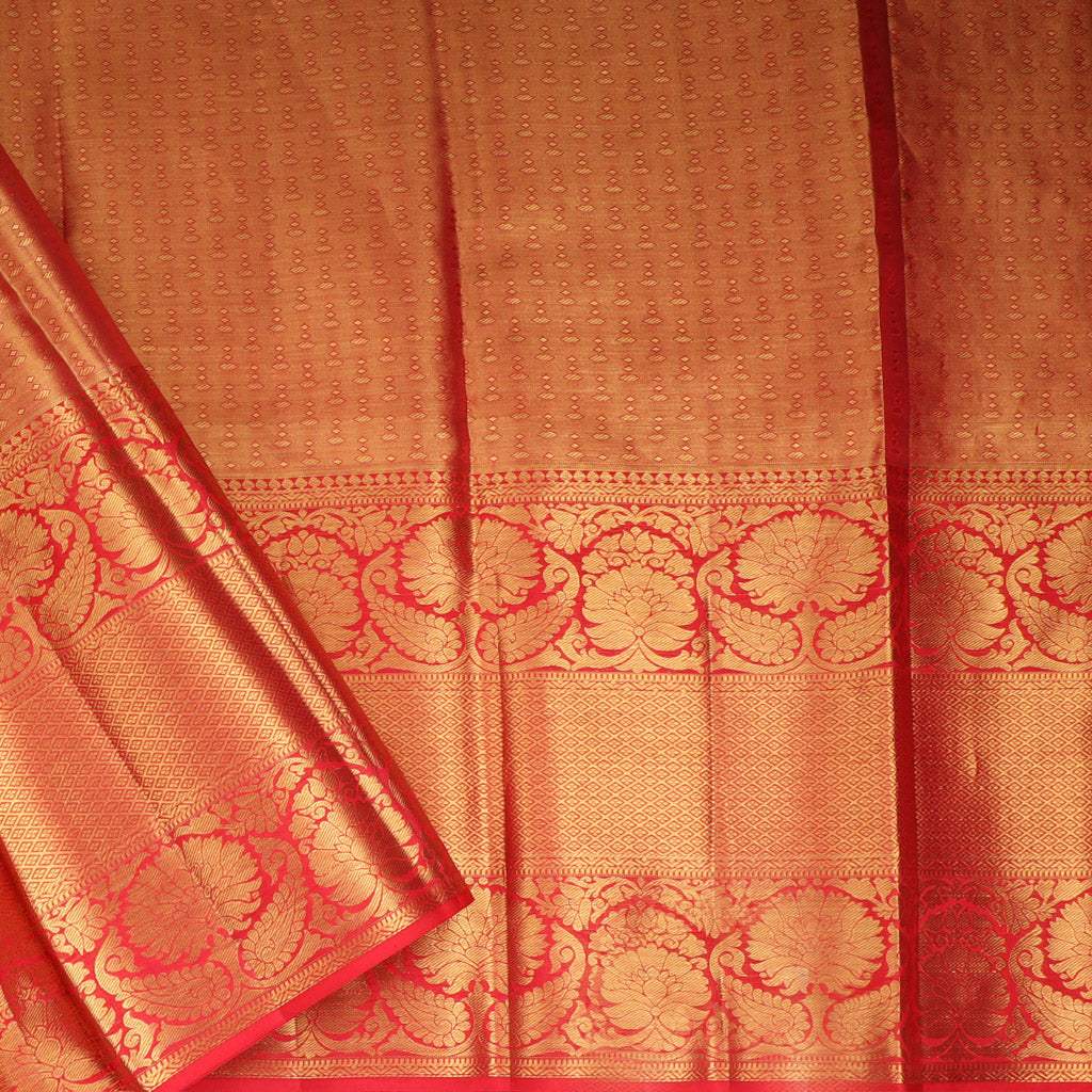 Powder Blue Tissue Kanjivaram Silk Saree With Paisley Motif Pattern - Singhania's