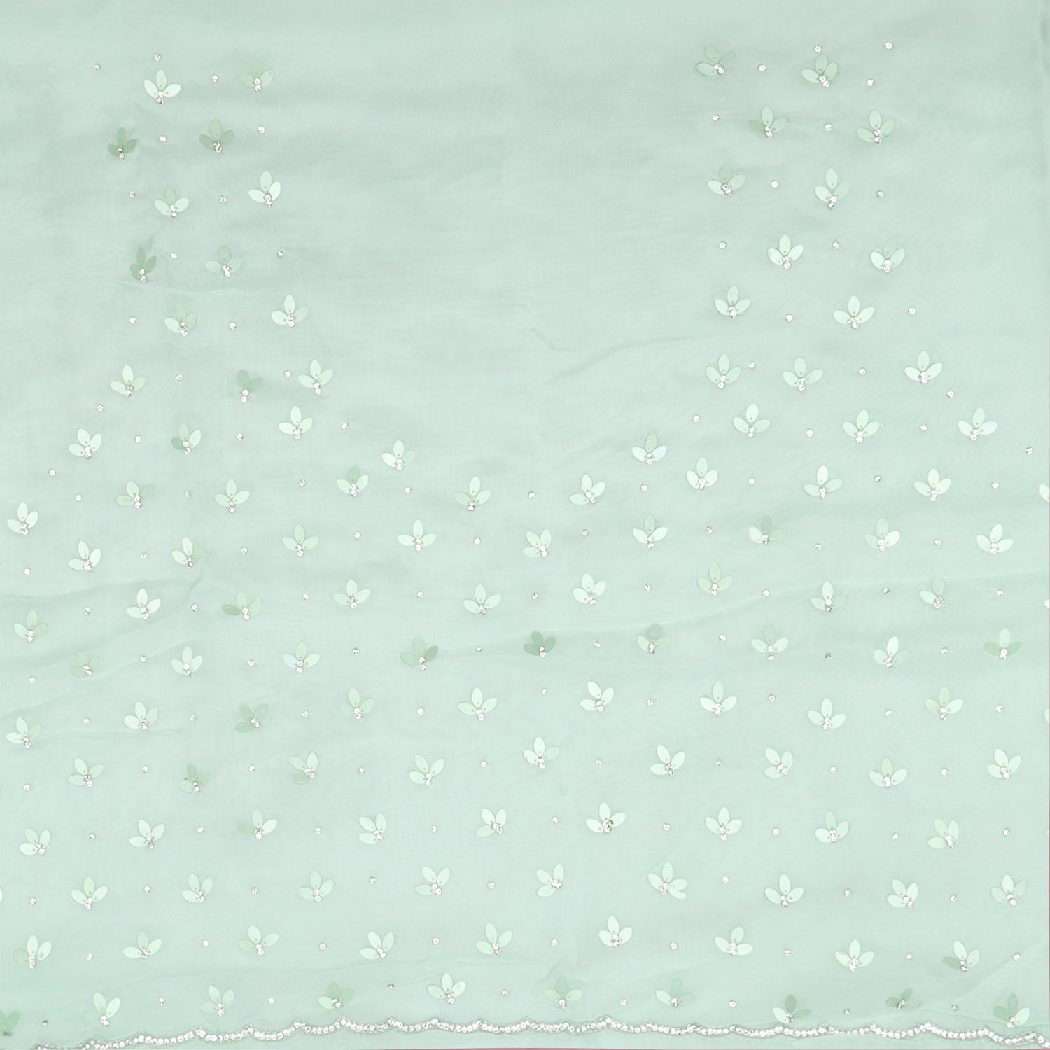 Seafoam Green Organza Saree With Embroidery