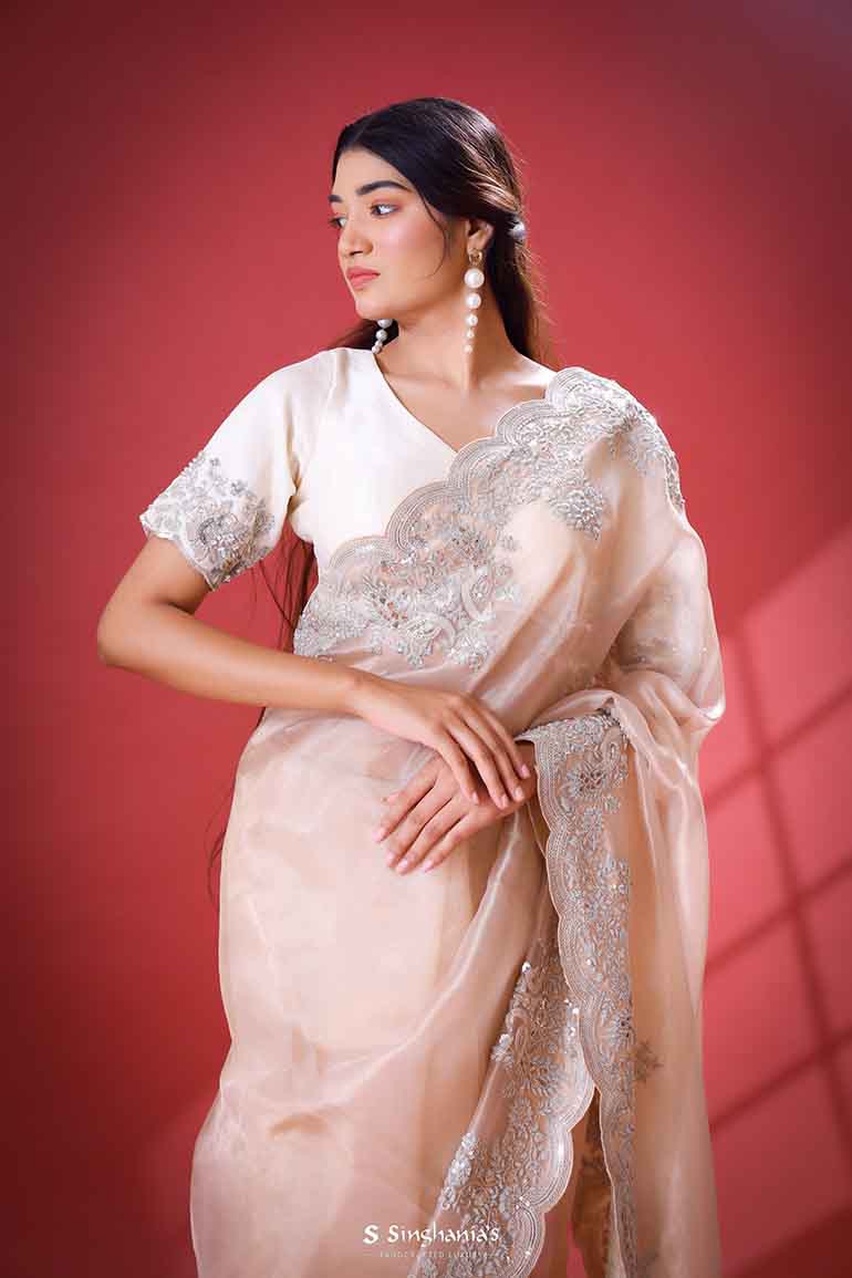 Apricot Orange Tissue Saree With Hand Embroidery