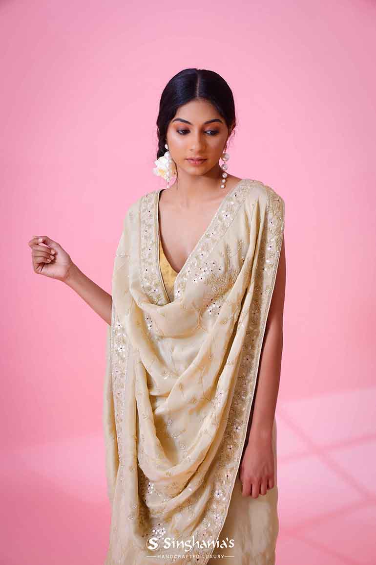 Cream Tissue Saree With Hand Embroidery