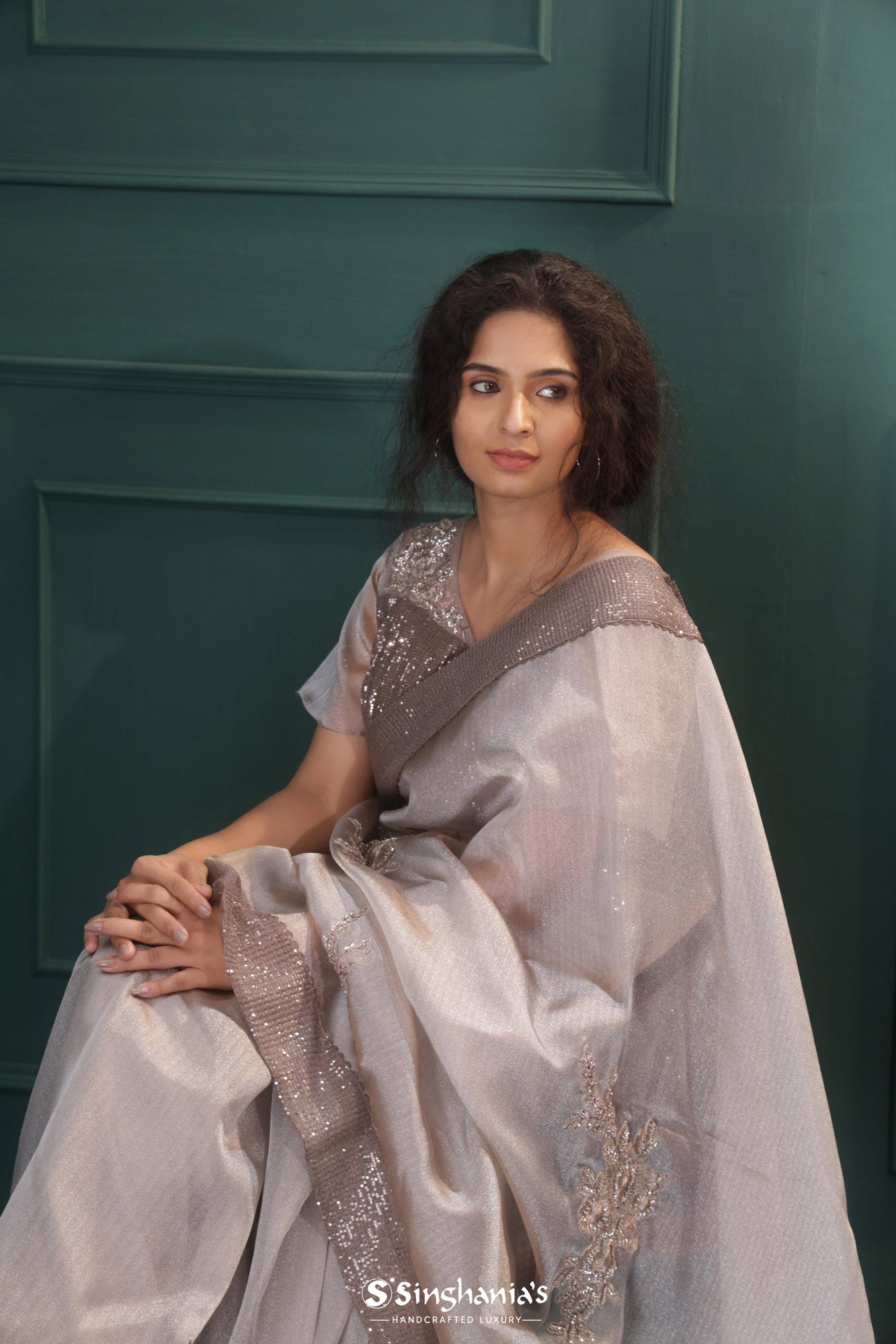 Stone Grey Tissue Saree With Hand Embroidery