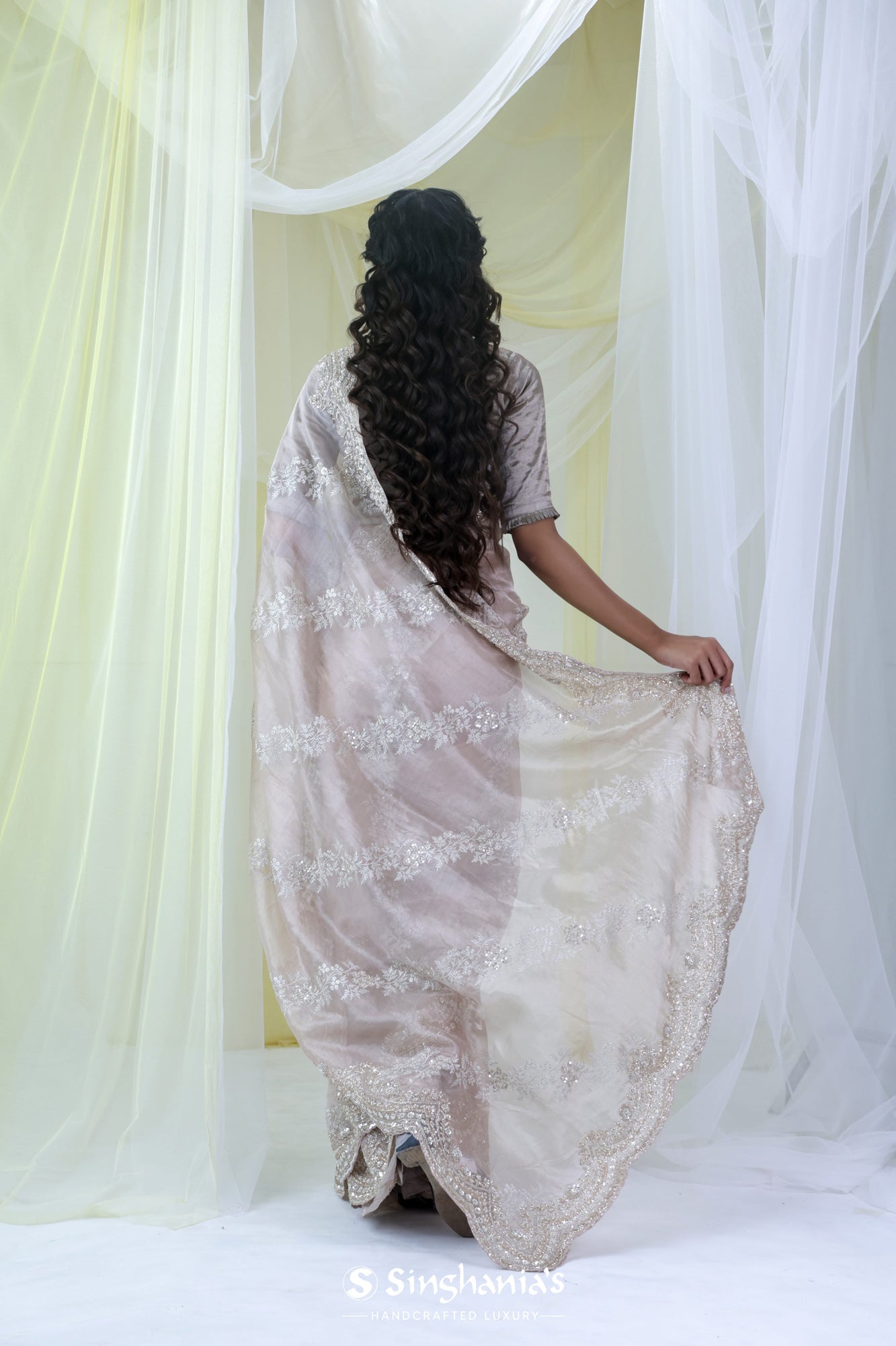 Sand White Tissue Saree With Hand Embroidery