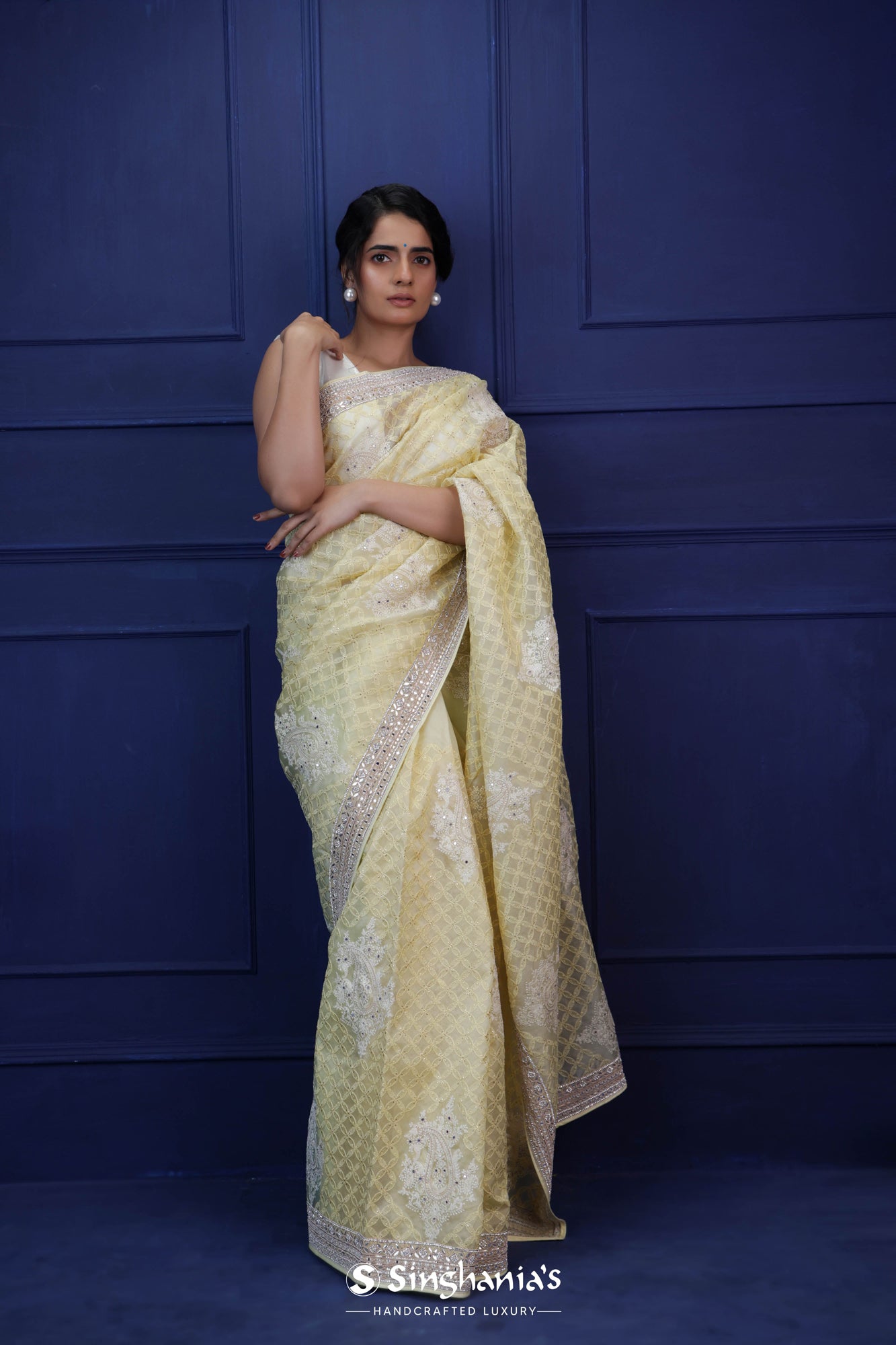 Light Yellow Organza Saree With Hand Embroidery