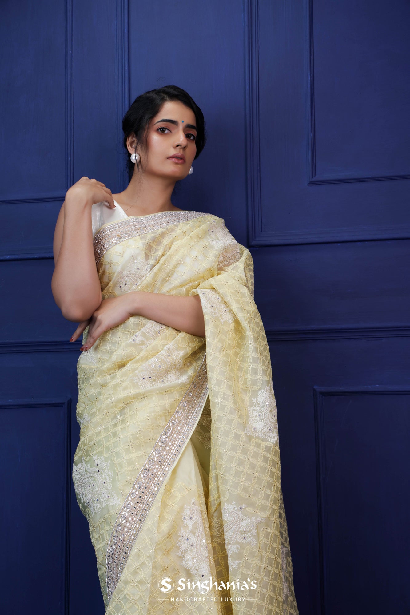 Light Yellow Organza Saree With Hand Embroidery