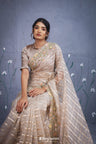 Beaver Brown Organza Saree With Hand Embroidery