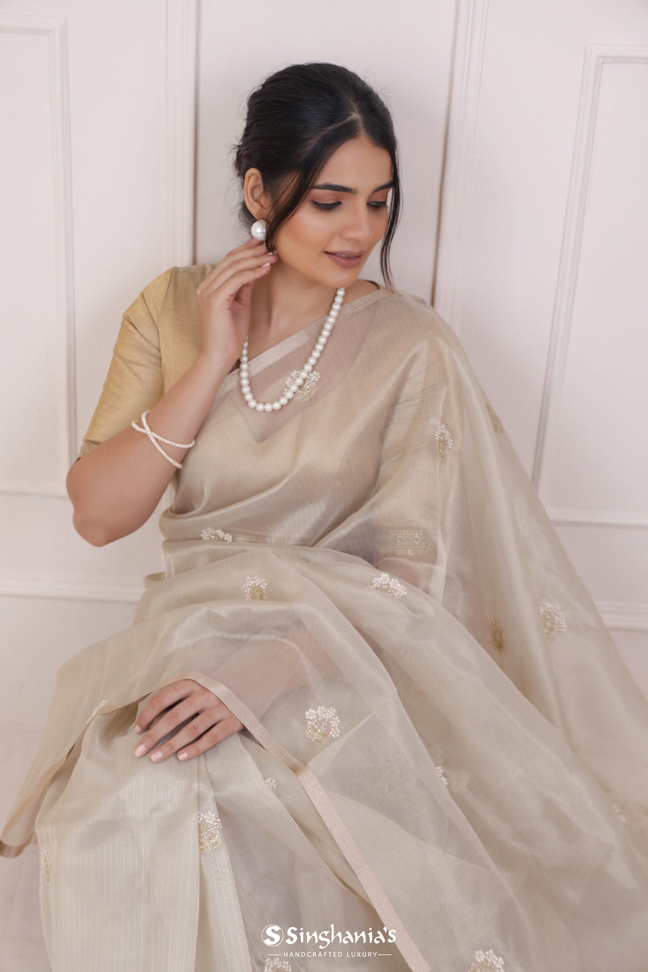 Pastel Beige Tissue Saree With Hand Embroidery