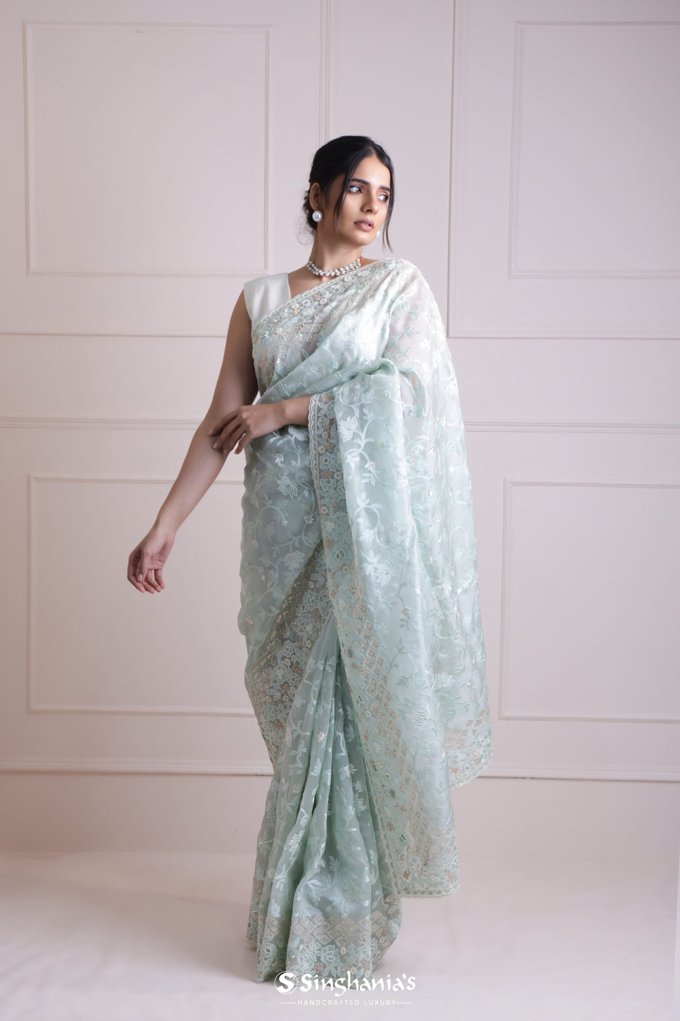 Marian Blue Organza Saree With Hand Embroidery