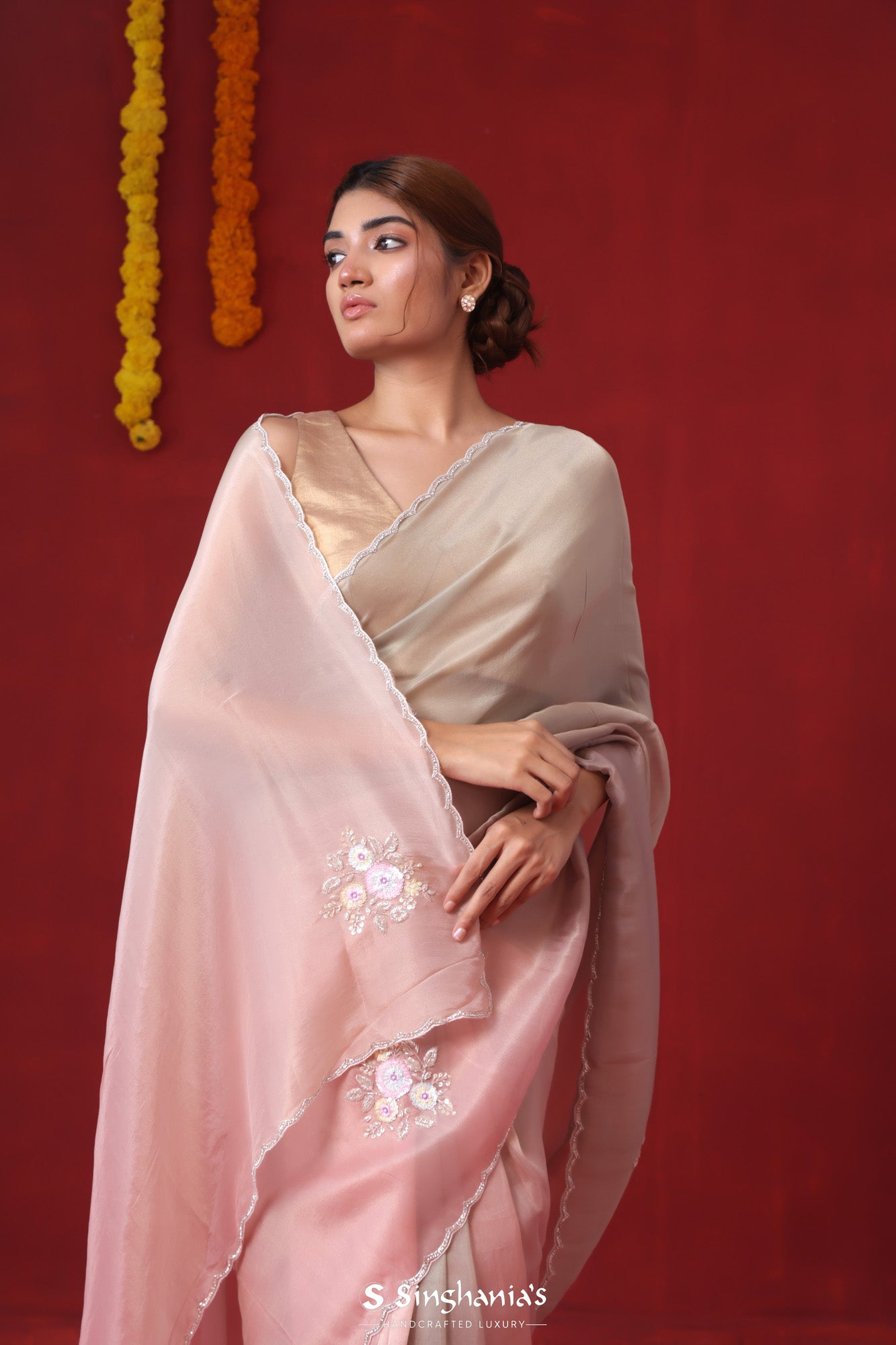 Sarees above Rs.10000 – MySilkLove