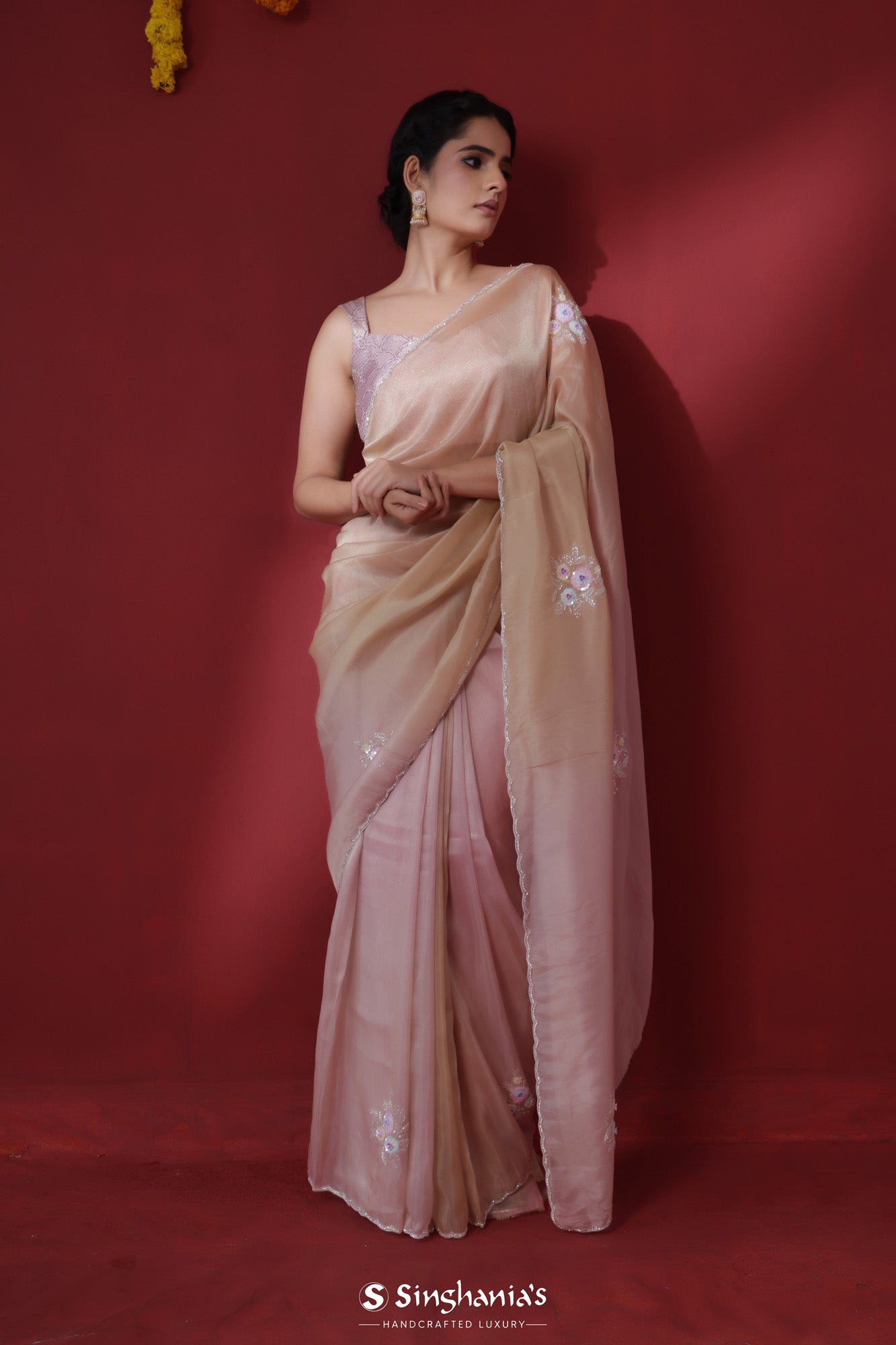 Pastel Pink-Brown Tissue Organza Saree With Hand Embroidery