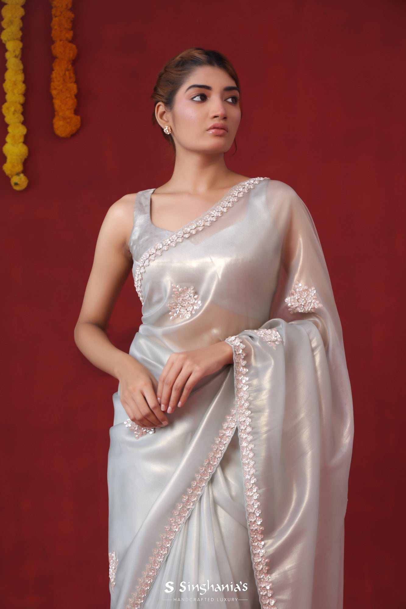 Ice Grey Tissue Organza Saree With Hand Embroidery